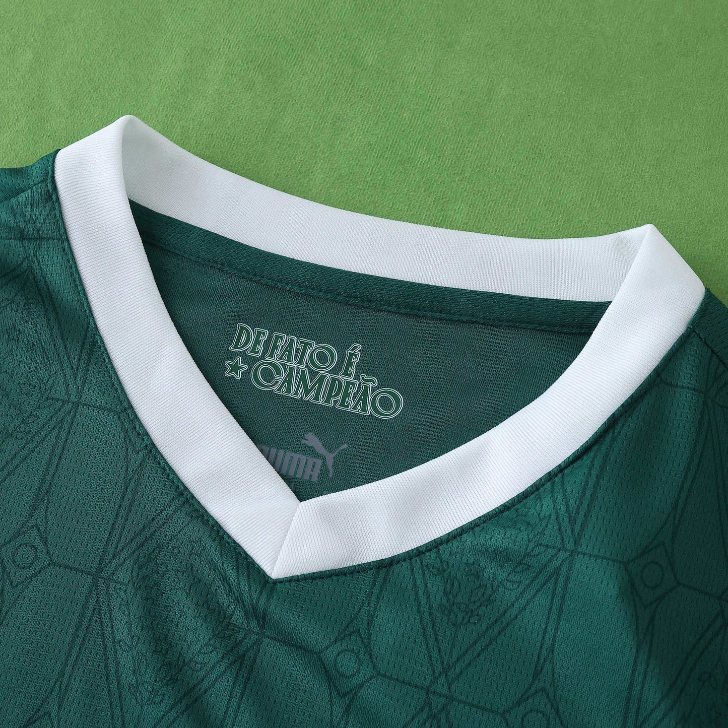 2025/26 Palmeiras Home Kit