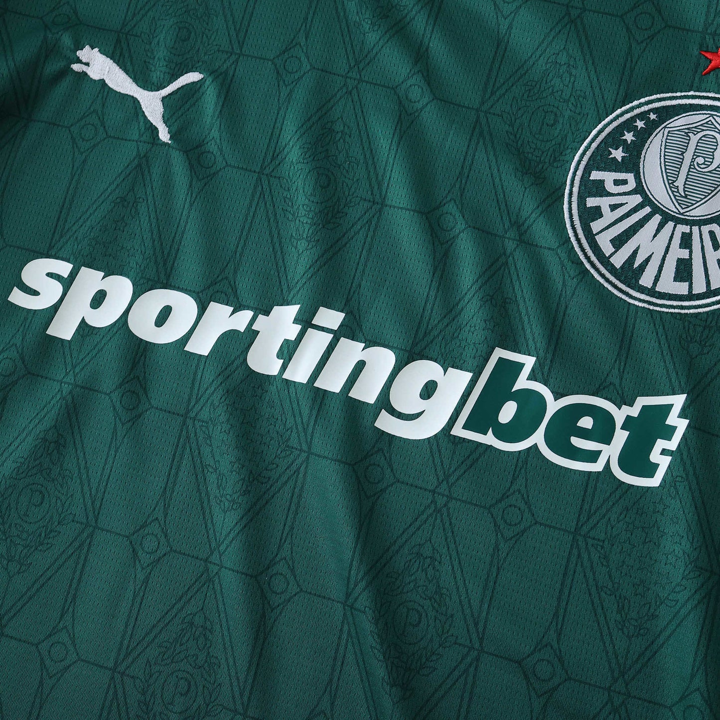 2025/26 Palmeiras Home Kit