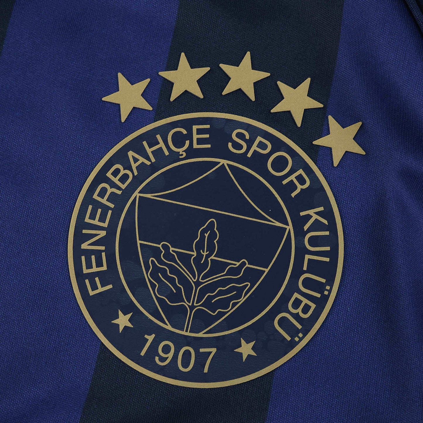 2025/26 Fenerbahçe Spor Kulübü Third Kit