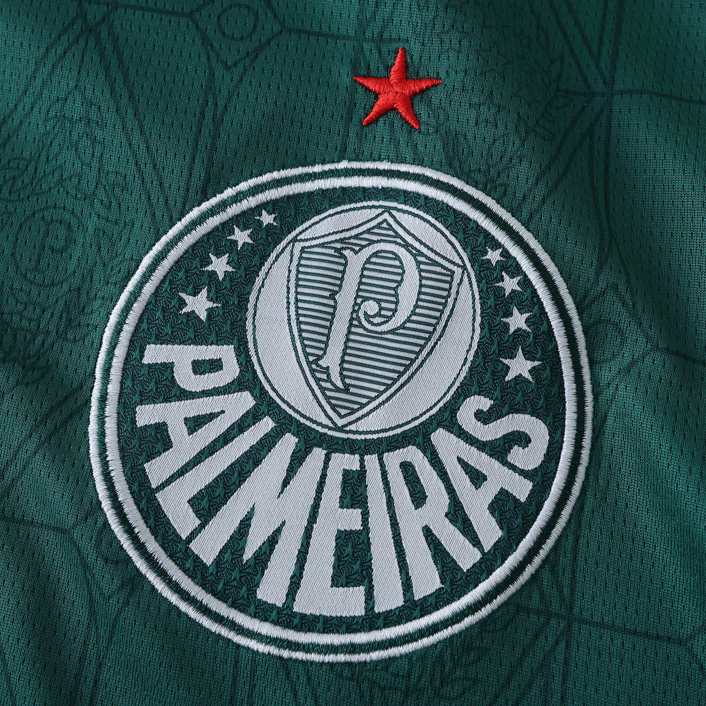 2025/26 Palmeiras Home Kit