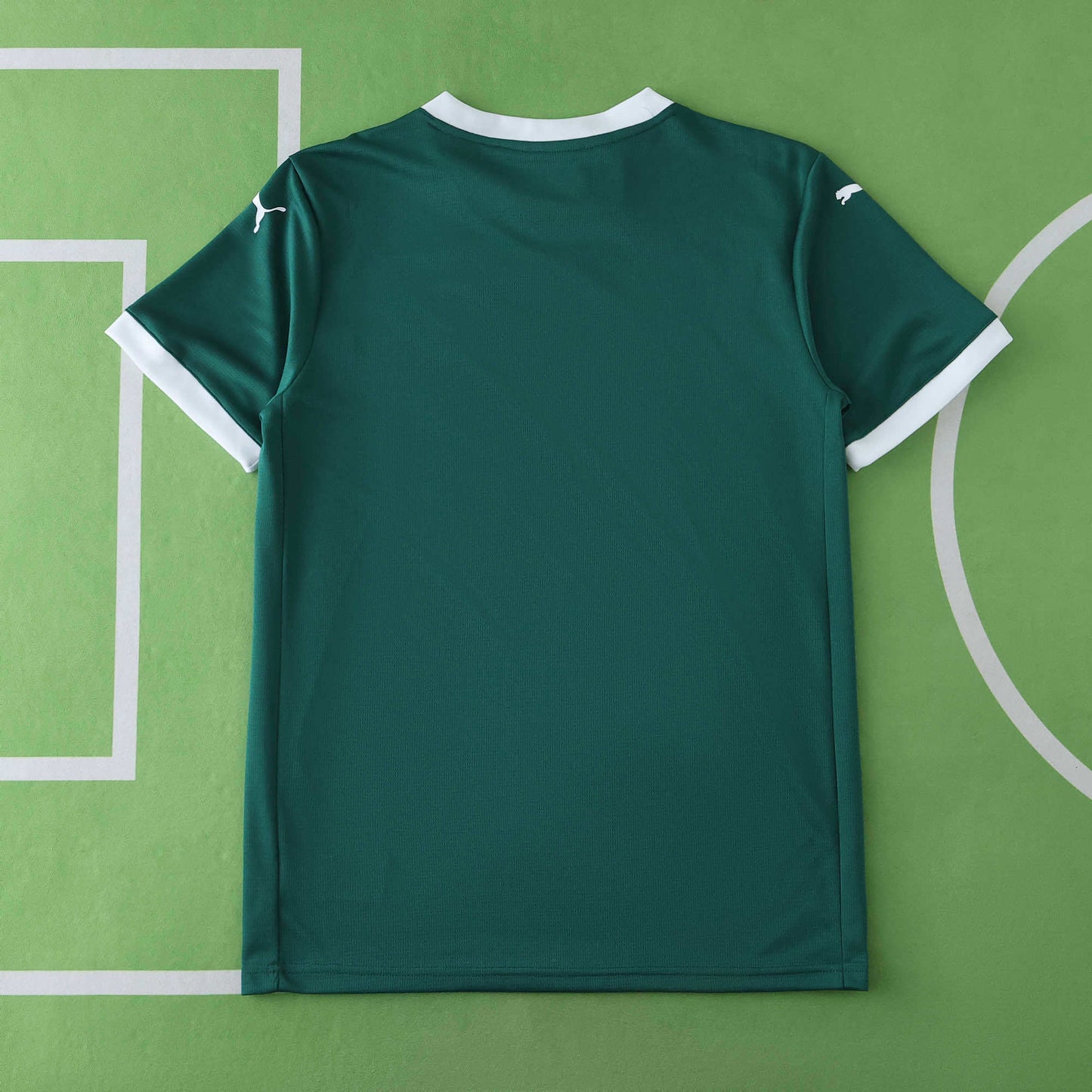 2025/26 Palmeiras Home Kit