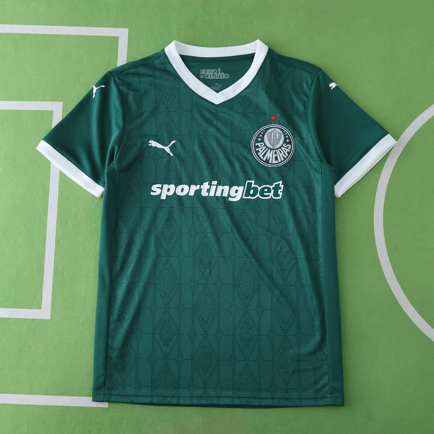 2025/26 Palmeiras Home Kit